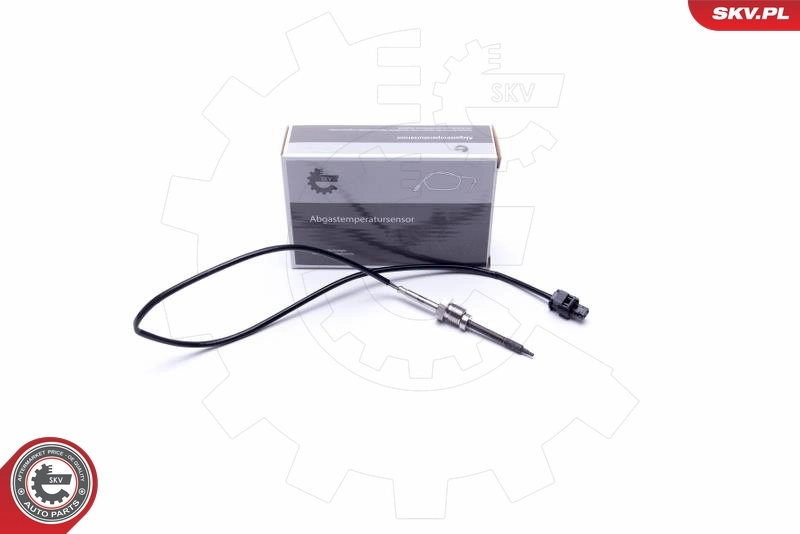 Sensor, exhaust gas temperature